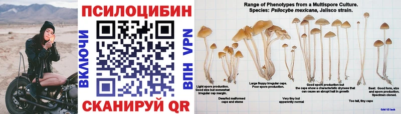Псилоцибиновые грибы мухоморы  Купить где  Ногинск 